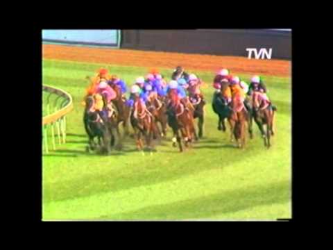 1984 Golden Slipper - Inspired.