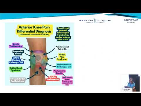 Anatomie & Behandlungswissen Videos – Interaktives Nachschlagewerk für Physio, Massage, Therapie 52 Ultrasound tissue characterization (UTC) for assessing tendon quality in ACL patients
