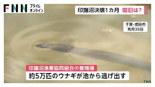 ウナギ5万匹失った養殖場で復旧作業続く　台風25号から1カ月（2026年10月21日）