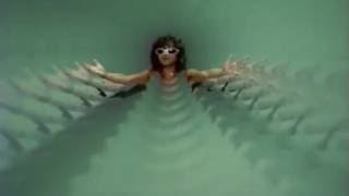 Polnareff   fame à la mode