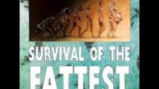 Diesel Boy - Titty Twister