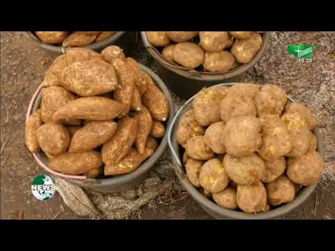 6:15 p.m. News, 08/03/2022 - Canal 2 international