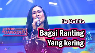 Download lagu Bagai Ranting Yang Kering - Iis Dahlia | STUDIO DANGDUT mp3