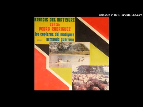 09. Llanerita del Arauca - Pedro Rodriguez