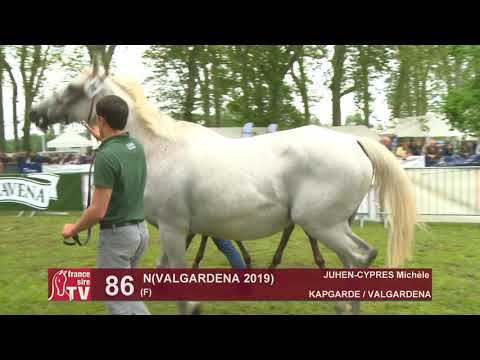 Sprinter Sacré Show 2019 : Lot 86 - N 19 VALGARDENA