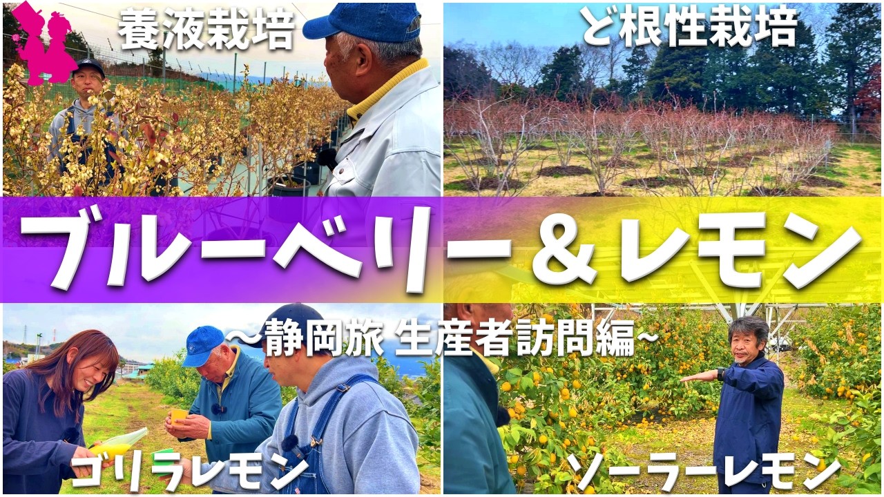 【神回】ブルーベリー＆レモンの生産現場とプロ同士のトークは学びが多すぎる