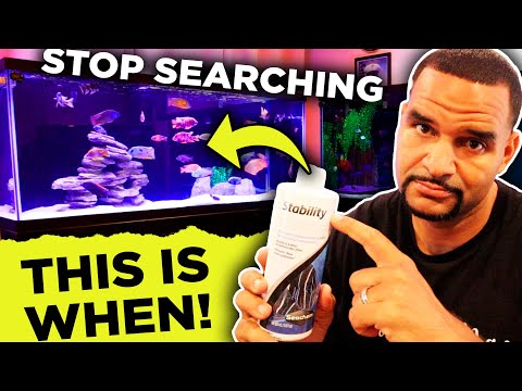 4 Times You NEED Aquarium Bacteria!
