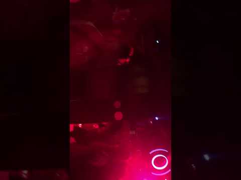 Bugs and Roots family  - Natural Mystic