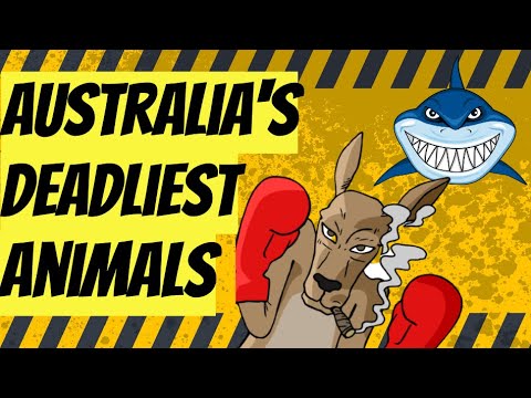 Australia's deadliest animals for kids