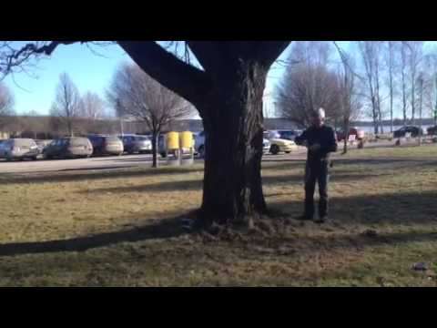 Mercedes air bag bombed  Bengtsfors