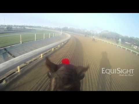 Breeders' Cup 2013 -"Trinniberg" -- OFFICIAL WORKOUT - JockeyCam presented by EquiSight.com