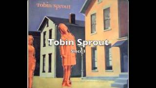 Tobin Sprout - Since I