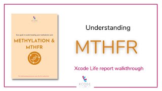 How Does Your MTHFR Gene Variant Influence the Methylation Status?