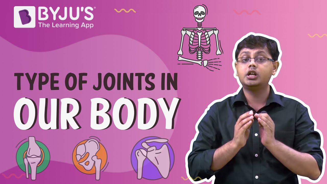 Types of Joints - The structure of Skeleton and Bones
