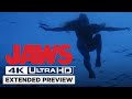 Jaws | Opening Shark Attack in 4K | Own it now on 4K UHD