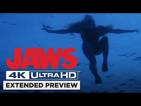 Opening Shark Attack in 4K