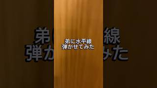 Download lagu 弟に水平線弾かせてみた！ #ピアノ #ピアニスト #ピアノ男子 #水平線 #バックナンバー mp3
