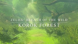 Zelda Breath of the Wild: Korok Forest - Orchestral Cover