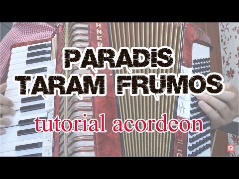 Paradis, tărâm frumos - Fratii Strugariu | tutorial acordeon