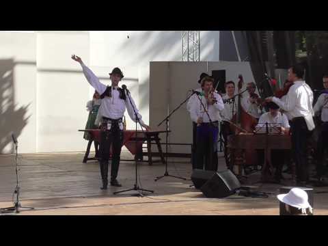 Strážnice 2016 finále - Pavel Vařecha Lipov