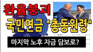 국민연금 환헤지 환율 조정 메카니즘 "작동 원리와 한계" ... 김대호 교수