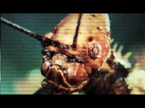 KRANEOS MENTE DE INSECTO ( VIDEO OFFICIAL )