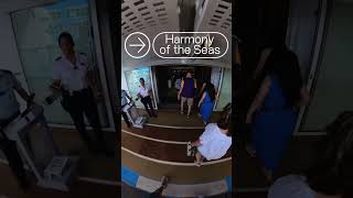 Harmony of the Seas, how does it all begin?