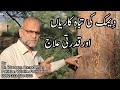 Termite Treatment How To Get Rid Of Termites How To Control Termite