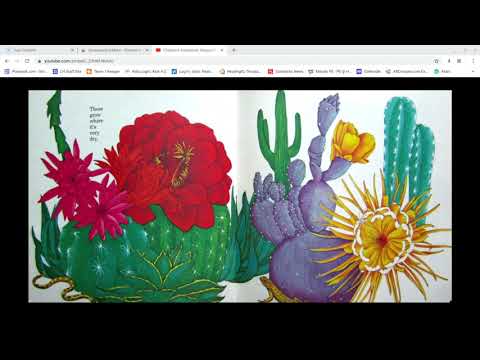 The Reason for a Flower