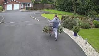 Is this the world's most pointless theft  Crook spotted stealing 'worthless' flower pots in broad