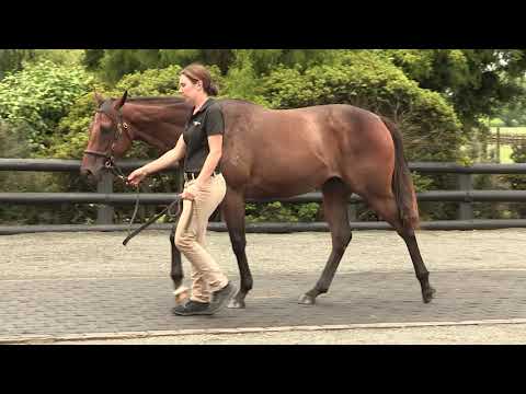 Lot 111: Reliable Man (GB) – Jewels Gift, Filly