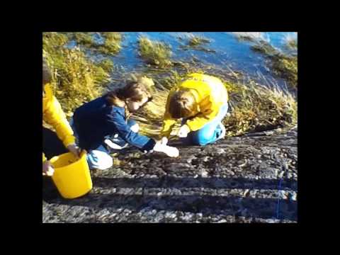 Vålbergsskolan - Lägerskola Tjörn hösten 1975
