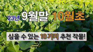 9월말 10월 초에 심을 수 있는 10가지 추천 작물! #주말농장 #9월에 심는 작물 #10월에 심는 작물.