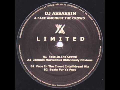 DJ Assassin - A Face In the Crowd