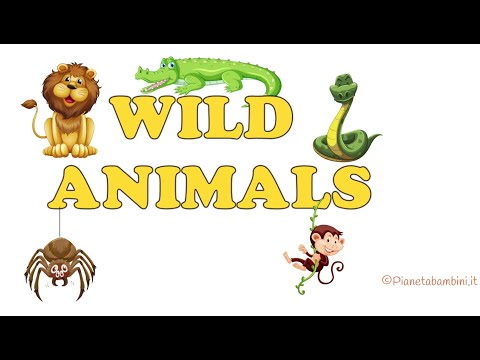 Animali Selvaggi in Inglese | Wild Animals in English