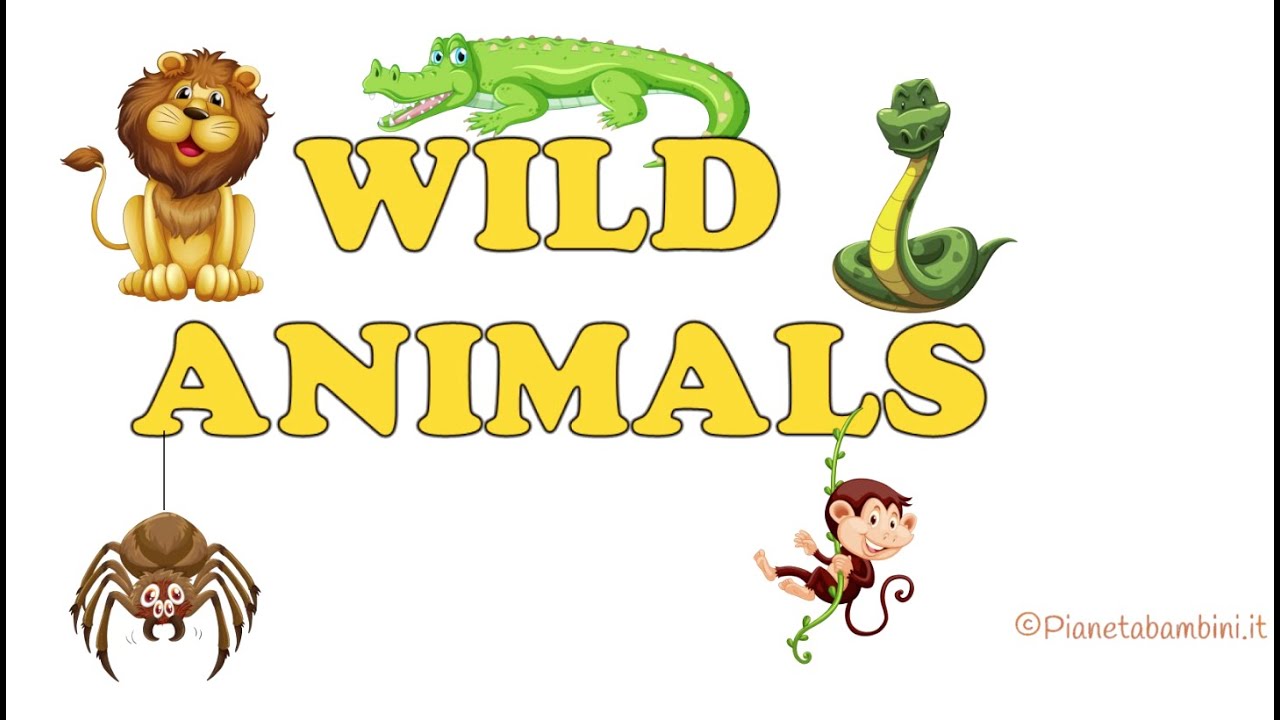 Animali Selvaggi in Inglese | Wild Animals in English