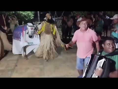 #reisado#cultura boa hora Piauí 