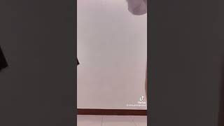 懐かしいやつ #tiktok #jk