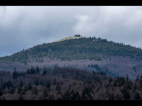Nationalpark Bayerischer Wald