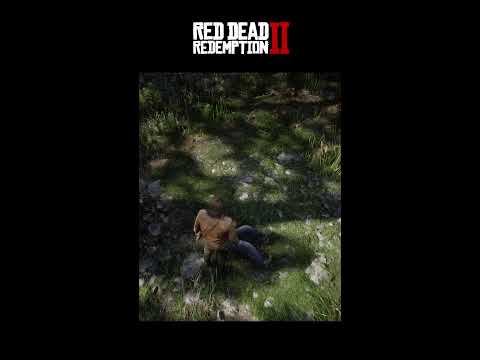 Open World Exploration & Side Quests | Red Dead Redemption 2 LIVE Adventure!"