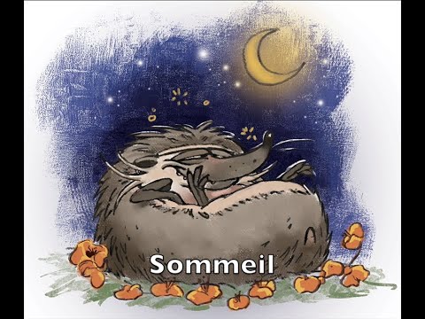 Sommeil - indispensable à la santé par Pénélope Restoy