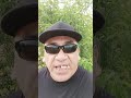 Latinos Soon To Replace Chicago Blacks