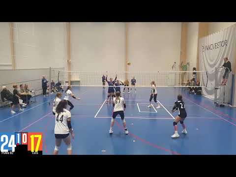 PuMa B2t - Cats 29.10.2022