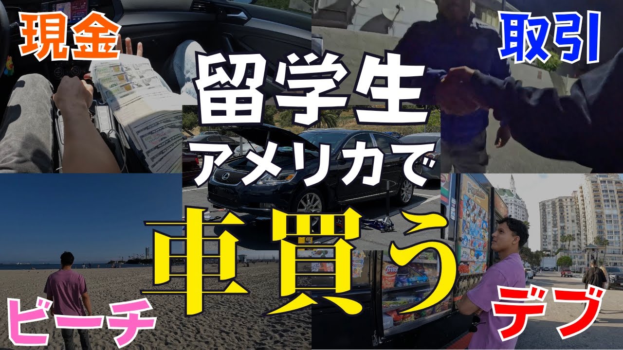 【留学Vlog#65】アメリカで車買った