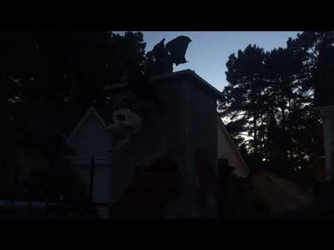 YouTube video about: How to turn off a street light permanently?