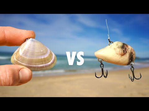 Bait Vs Lure Fishing Challenge! (Beach Edition)