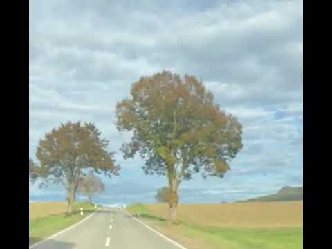 Album Roman Ondráček - Zlatý Duety