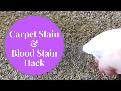 Life Hack Thursday How to Remove Carpet Stains & Blood Stains
