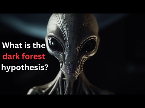 Should we not look for Aliens? - The dark forest hypothesis