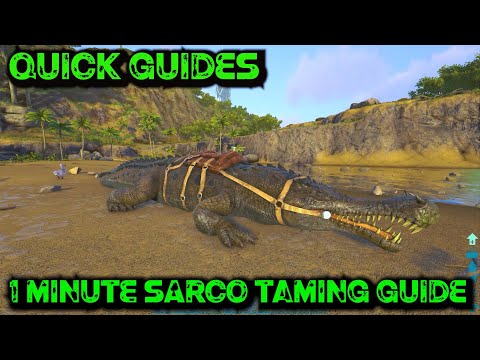Ark Quick Guides - Sarco - The 1 Minute Taming Guide!
